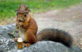 SquirrelPod's tweet image. Enjoying some time off with the jazz squirrel