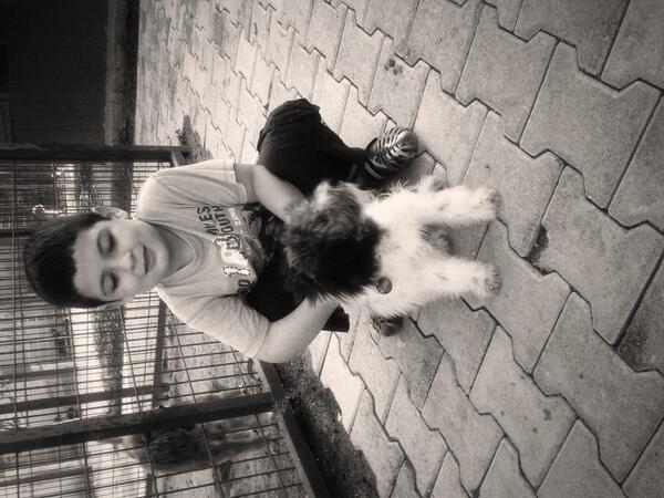 elif paksoy (@eli_paksoy) on Twitter photo 