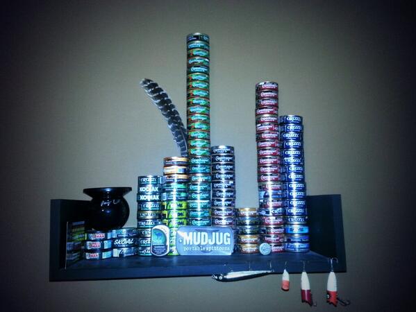 CopeJunkies's tweet image. The tower has grown and is looking pretty good! #dip #dbh #diptower #ilovedip