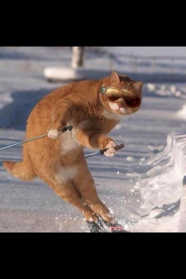AdderalIHadMe tweet picture