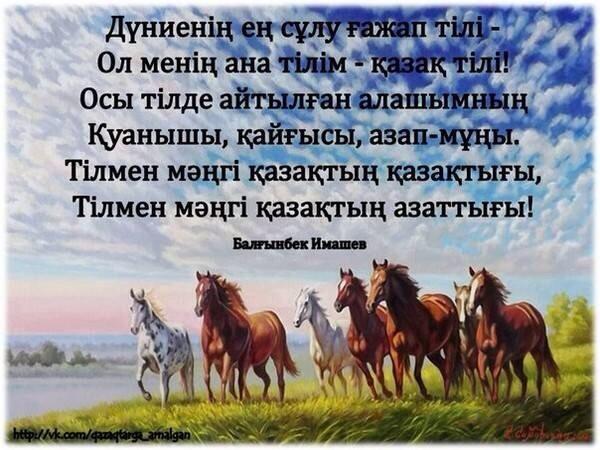 islam_kanat's tweet photo. Jasa kazak http://t.co/o4YBQcjobl