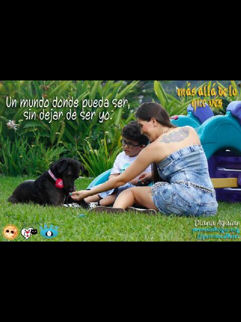 pshccs's tweet photo. Un mundo donde pueda ser, sin dejar de ser yo "Mas allá de lo que ves" @DianaAguiar @NegraAtenas @perritocallejer http://t.co/9J33YNON4l