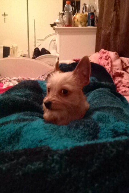 Watch Eric B.'s leaked NSFW photo on TwXstars