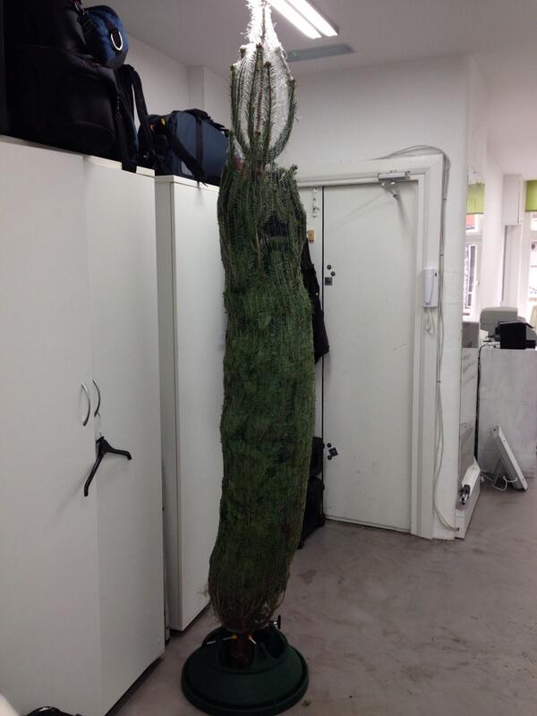 scottwimsett's tweet photo. Le tree has arrive x http://t.co/0JABfXJduf