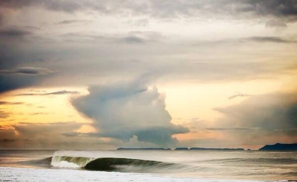 waterinstinct1's tweet photo. Lonely morning http://t.co/W3OZevyXRn