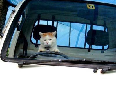 オレの足って長いな～！！！