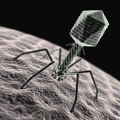 HBrams's tweet image. Bientôt la fin des antibiotiques… les #Israël-iens préparent l’alternative ! ► goo.gl/fb/tgUVw ►