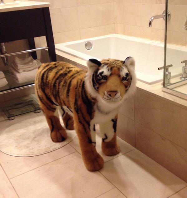 The 648th RT wins the tiger from our Hangover filming #JJSwag