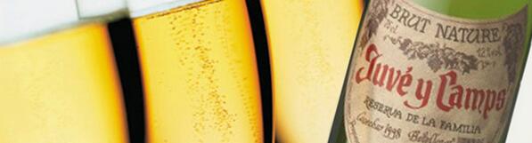 Letsgourmet's tweet photo. CHIN CHIN http://t.co/9DdK8rGe70 http://t.co/obJRm2chA5