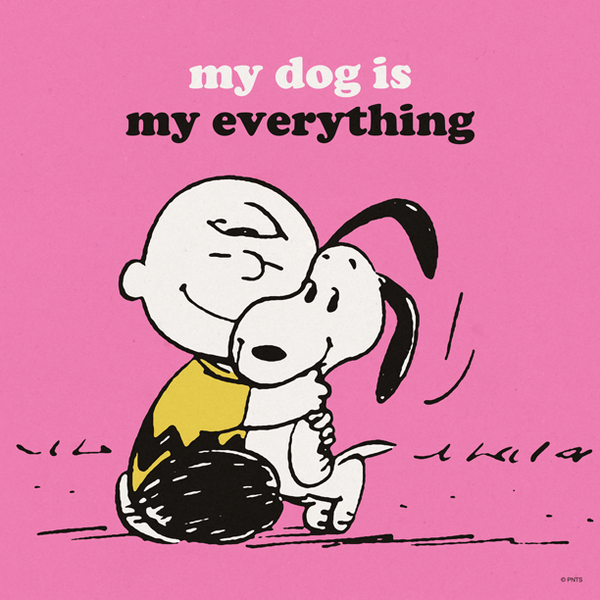 Snoopy's tweet photo. My dog is my everything. http://t.co/n25DlXMMeG