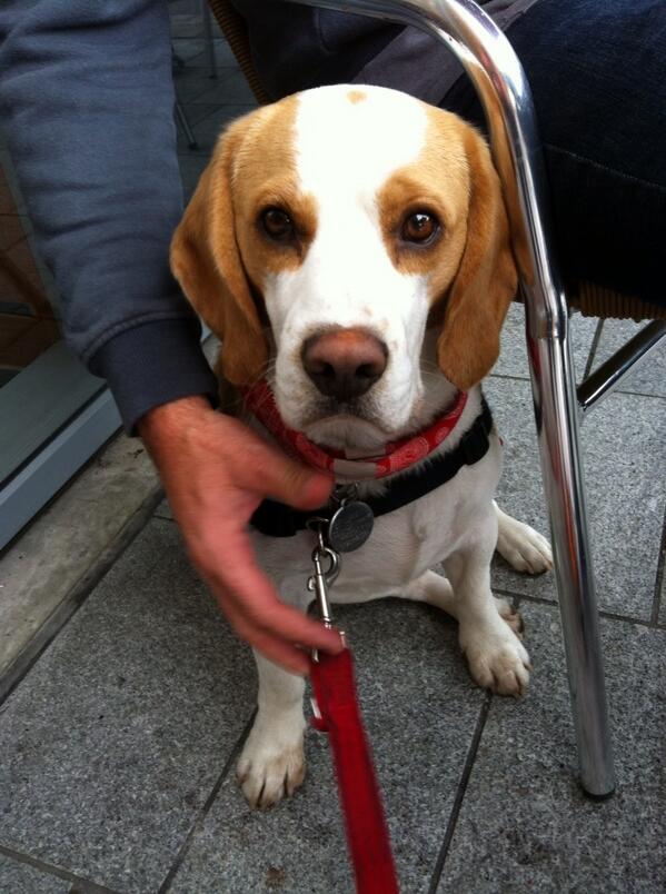 At Costa trying to get some cake off my mummy! Who can resist this face!