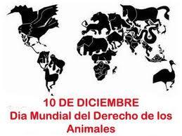 Cecucol se une a la lucha por la defensa de los derechos de los animales. Ellos no son juguetes. #NoMásMaltrato