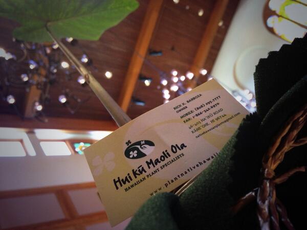 Ryan Gonzo Gonzalez tweet media