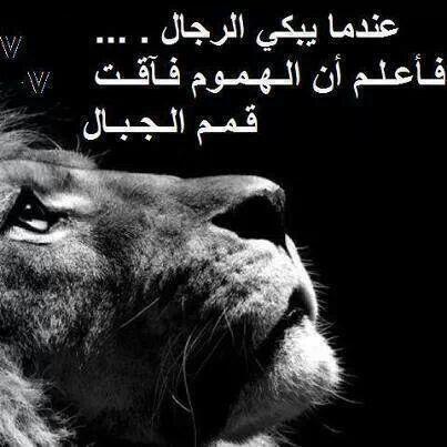 hamode8562's tweet photo. http://t.co/0mnS7TbaxP