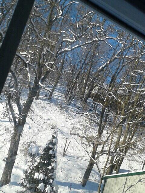 hnh_1975's tweet image. The view from my bedroom window this am.  #mnwinter #nofilter #beautifulbutcold