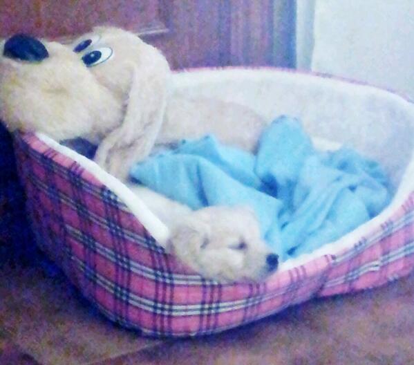 Alemb77's tweet photo. A ver se te pones buena cuanto antes <3 http://t.co/jNKP1jsLFX