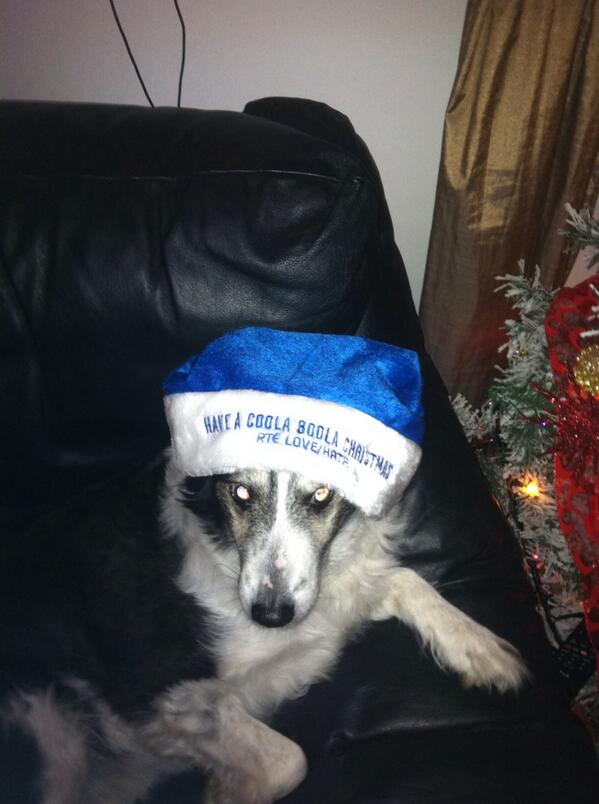 Love Hate UK (@LoveHateUK) | Twitter