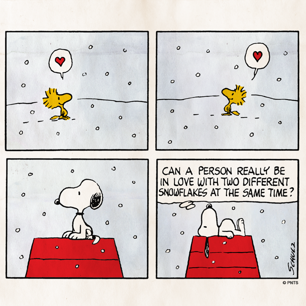THE SKATEROOM x 細い PEANUTS WOODSTOCK 未使用