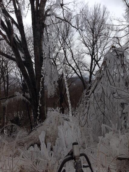 phogenkampVT's tweet image. #snowgun or #squirtgun