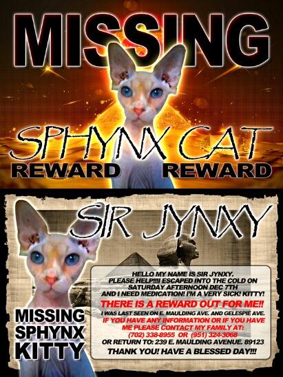 bottcyd's tweet image. @UNLVNewsI am from LV and my hairless cat has gotten out in the cold. Please help me spread the word and get him home