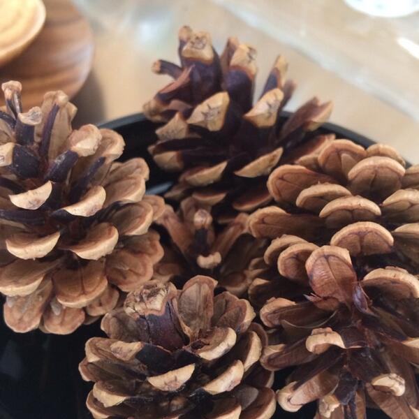 leafandmeat's tweet photo. Cinnamon pine cones! #yummy http://t.co/Rz6N6MtsOc