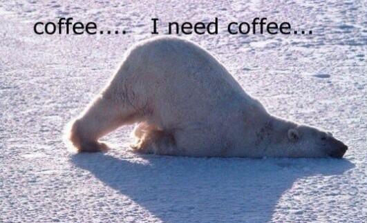alIaboutIove's tweet photo. how i feel when i wake up http://t.co/21XHYI8vjB