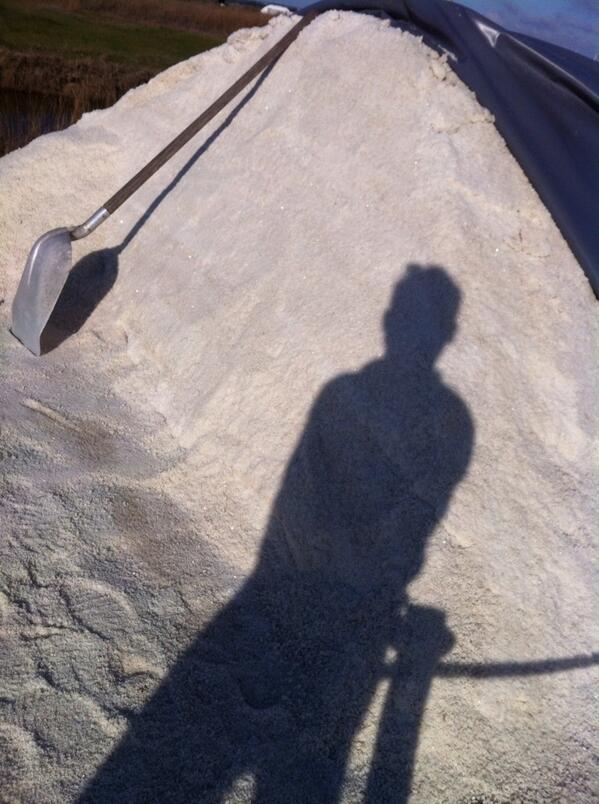 visitvirt's tweet image. @Tortense_Ninja