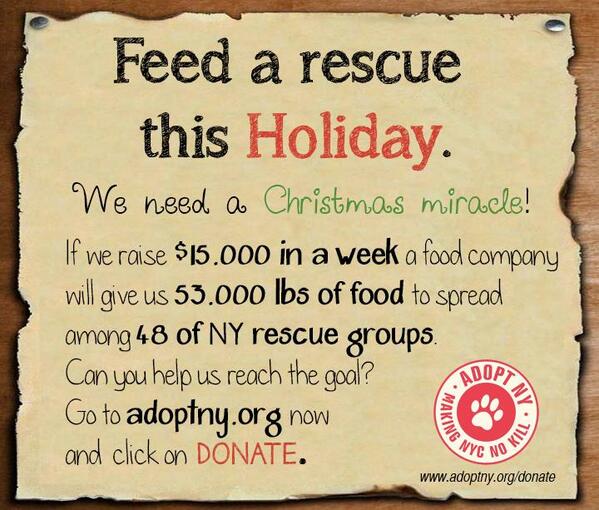 doghabitat's tweet photo. Help us reach feed thousands of animals this holiday!
http://t.co/6kXkM62Nes 
$50 gets you a @barkbox  #adopt http://t.co/ejtlLTYDu9