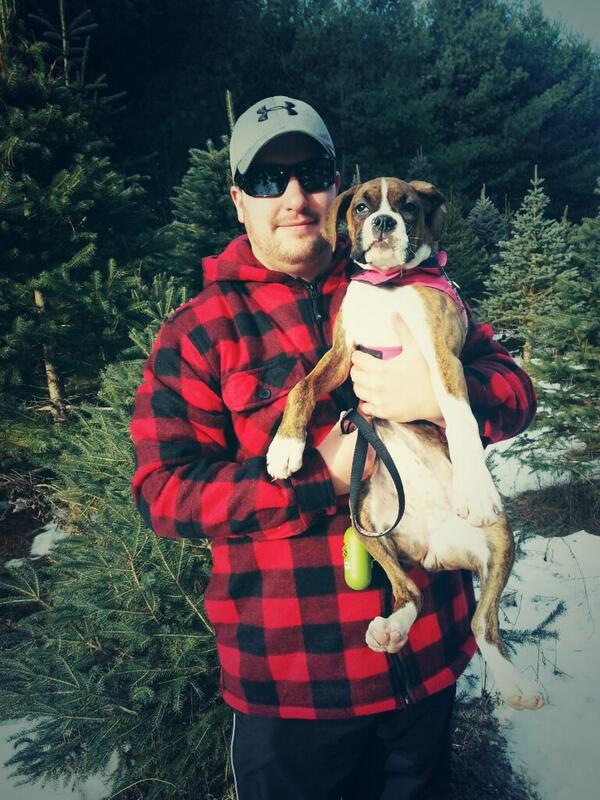 Christmas tree hunting !