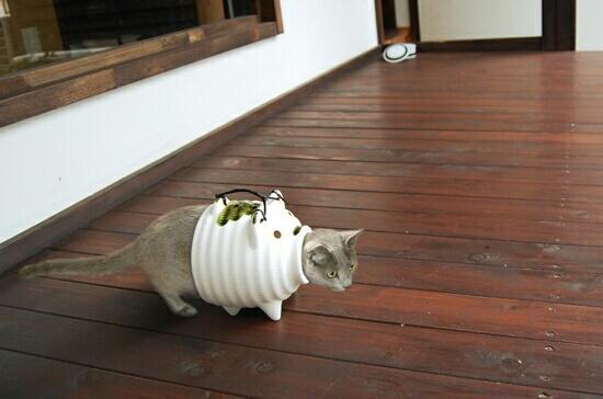 ★た、助けてくれ～★

ご主人さま～