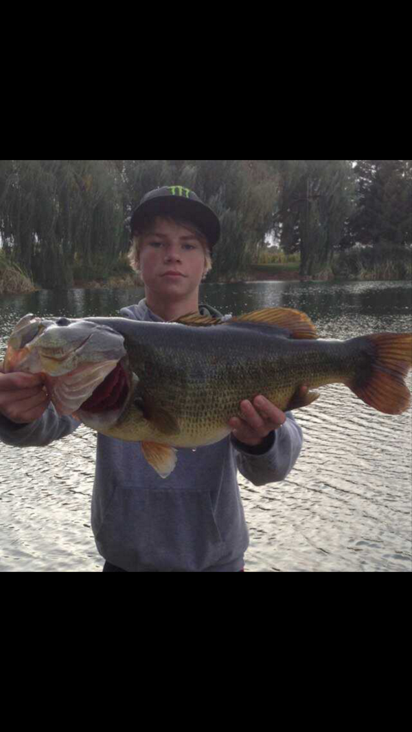 ALCFishing tweet picture