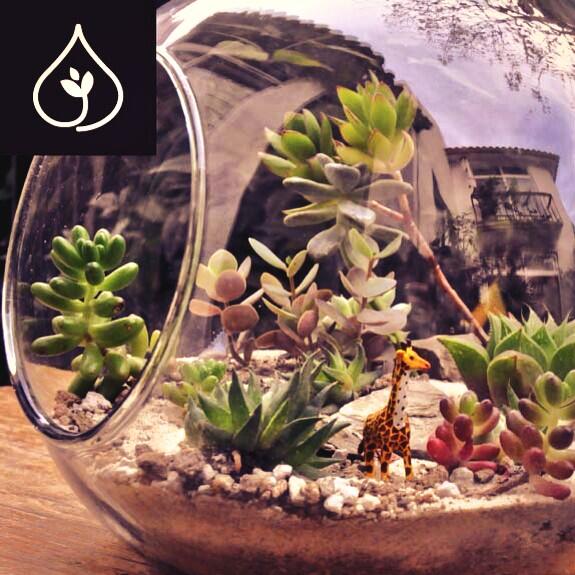 Terrariummx tweet picture