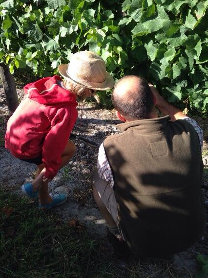 Teaching the next generation of viticulturist with James Downes <a href="/shannonwines/">Shannon Vineyards</a>