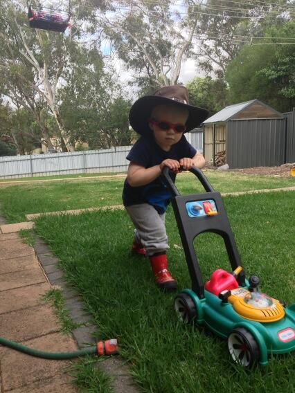SHatchy's tweet photo. Will mow your lawn too for chocolate or lolly snakes http://t.co/4mI2zydVI3