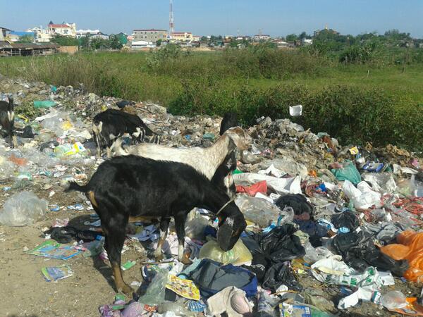 oloopennet3's tweet image. Food