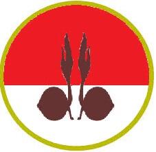 40Hendar's tweet photo. http://t.co/bvs4eLkyKo