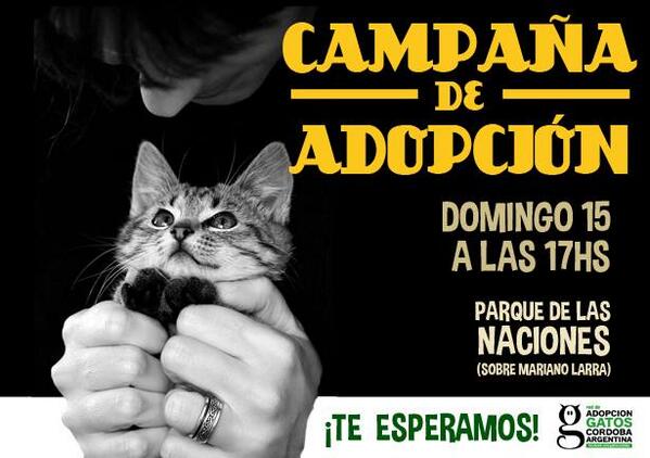 Este domingo,15/diciembre, ¡HAY CAMPAÑA!. (enterate entrando al siguiente link) goo.gl/wuIgDv #GatosCórdoba
