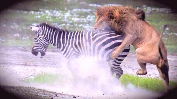 Full time: Galatasaray 1 - 0 Juventus