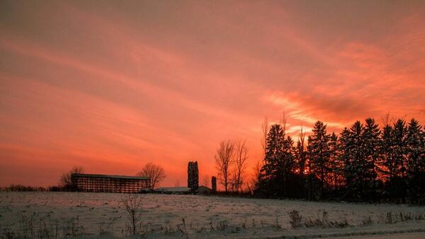 Snow streamzoo.com/i/14319219