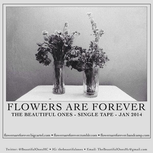 Help us spread the word about this. flowersareforeverr.tumblr.com