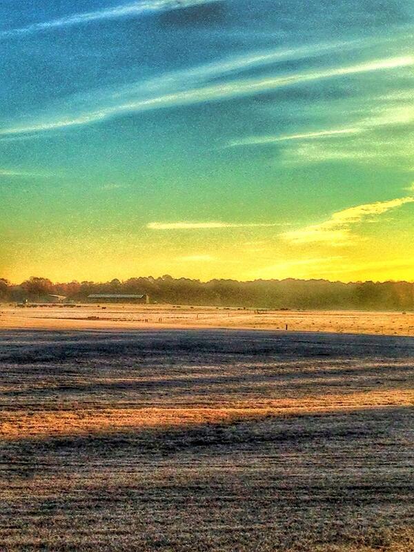flatlandliving's tweet photo. Check out this #FLPhoto from @BS32_Era http://t.co/kZxhQoVmcM