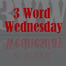 The Texas Daily tweet media