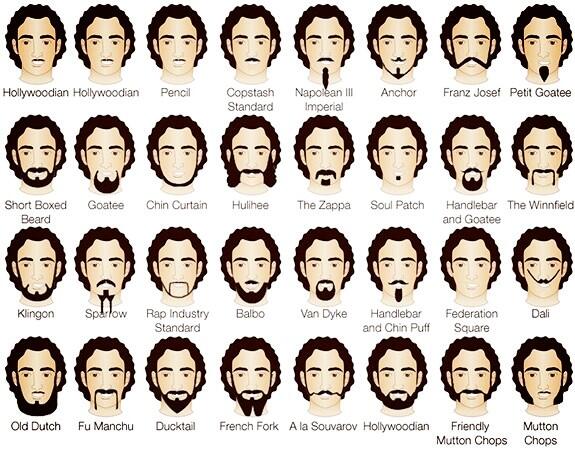 Beard Trimming Chart