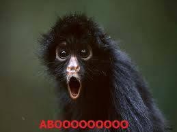 murat_gf's tweet photo. ahaha :D http://t.co/j6pjrBEBTh
