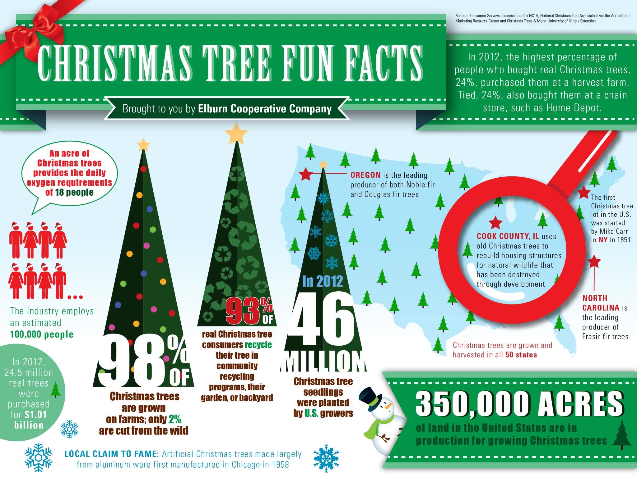 Check Out Oakland Nurseries for Christmas Trees Excellence at Home