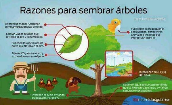 Naturaleza Vital tweet media