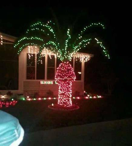 JesperParnevik's tweet photo. Hahaha, my neighbor has decorated his palm tree!!!
“@TonyJohnstone56: DON'T put Christmas lights on your palm tree! http://t.co/rz9Uht3tot”