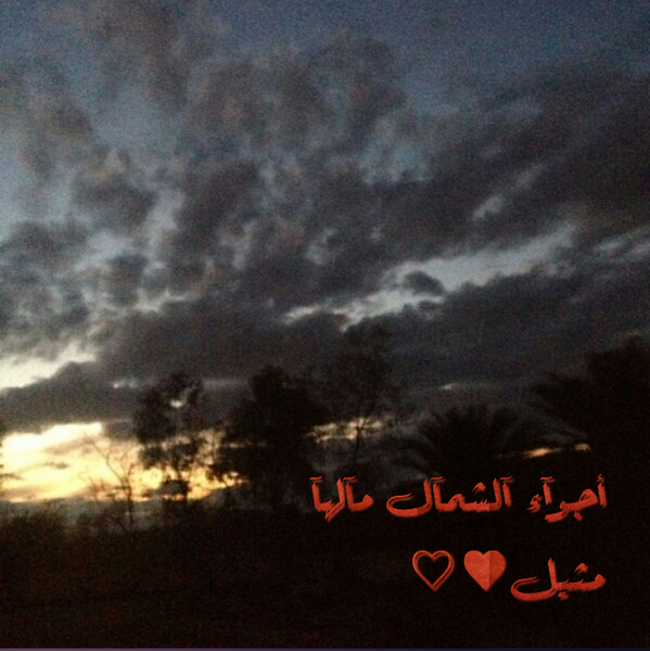 AlshmalMay tweet picture