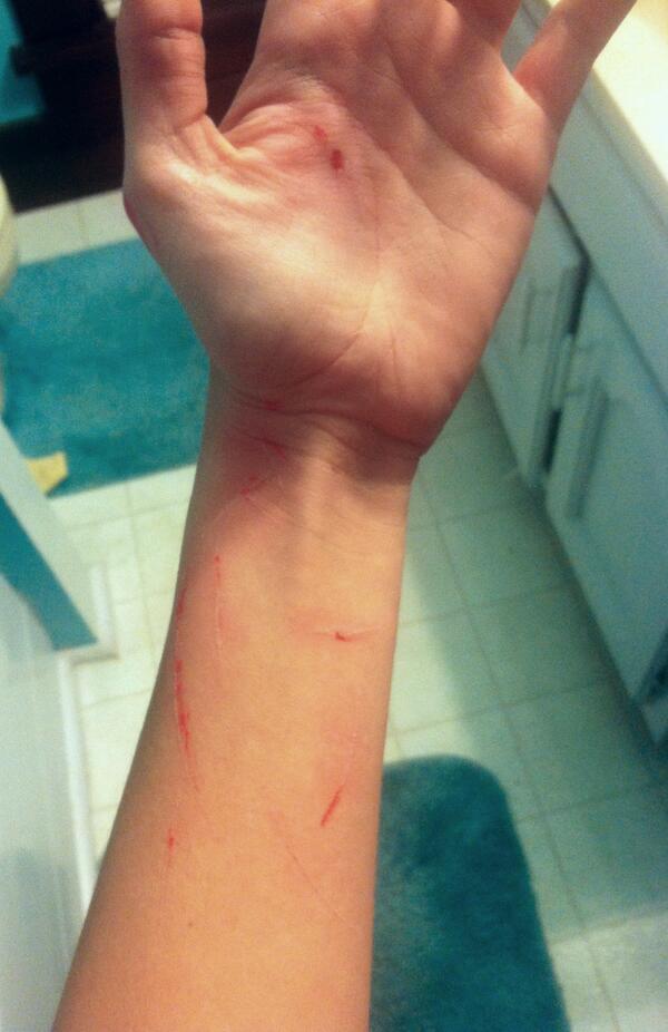 haileyAfeterl's tweet image. it's ok I'm still alive and Gemma is clean :-) #firstbath #superfun