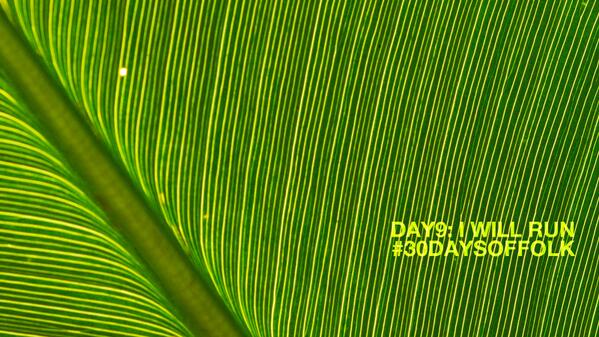 Drew LaPlante tweet media